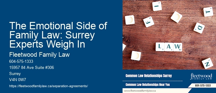 The Emotional Side of Family Law: Surrey Experts Weigh In